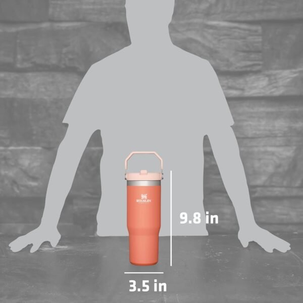 Stanley IceFlow Flip Straw Tumbler with Handle 30 oz | Twist On Lid and Flip Up Straw | Leak Resistant Water Bottle | Insulated Stainless Steel |BPA-Free | Rose Quartz