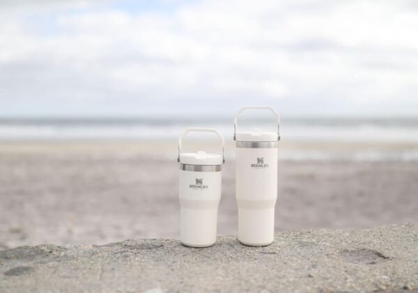 Stanley IceFlow Flip Straw Tumbler with Handle 30 oz | Twist On Lid and Flip Up Straw | Leak Resistant Water Bottle | Insulated Stainless Steel |BPA-Free | Rose Quartz