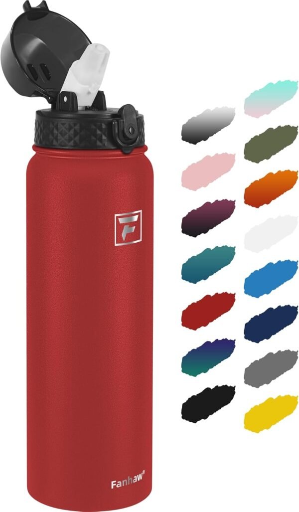 Fanhaw 20 Oz Stainless Steel Insulated Sports Water Bottles with Straw for Kids, Men and Women (Black)