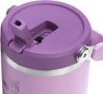 Stanley IceFlow Flip Straw Tumbler with Handle 30 oz | Twist On Lid and Flip Up Straw | Leak Resistant Water Bottle | Insulated Stainless Steel |BPA-Free | Rose Quartz