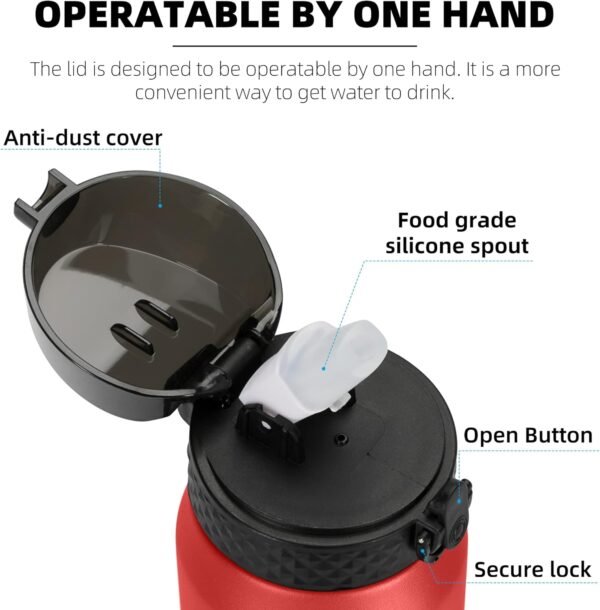 Fanhaw 20 Oz Stainless Steel Insulated Sports Water Bottles with Straw for Kids, Men and Women (Black)