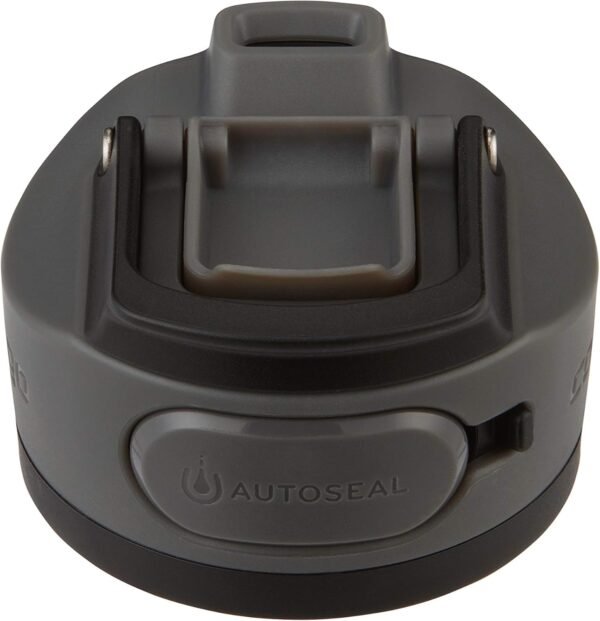 Contigo AUTOSEAL Cortland 24oz Water Bottle BPA-Free Plastic Spill Leak-Proof Lid and Carry Handle Dishwasher Safe Spirulina