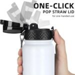 Fanhaw 20 Oz Stainless Steel Insulated Sports Water Bottles with Straw for Kids, Men and Women (Black)
