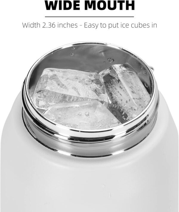 Fanhaw 20 Oz Stainless Steel Insulated Sports Water Bottles with Straw for Kids, Men and Women (Black)