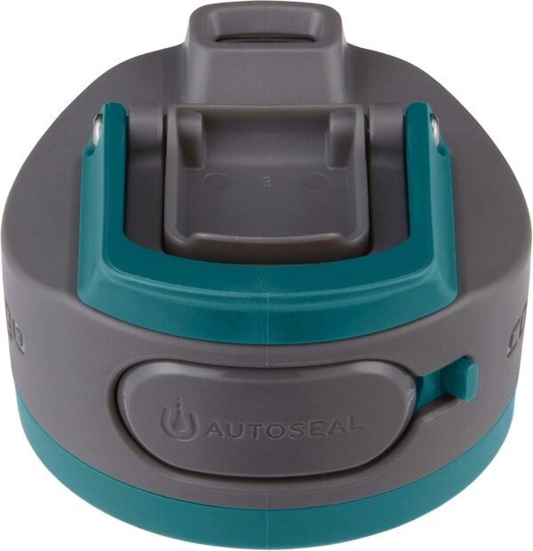 Contigo AUTOSEAL Cortland 24oz Water Bottle BPA-Free Plastic Spill Leak-Proof Lid and Carry Handle Dishwasher Safe Spirulina