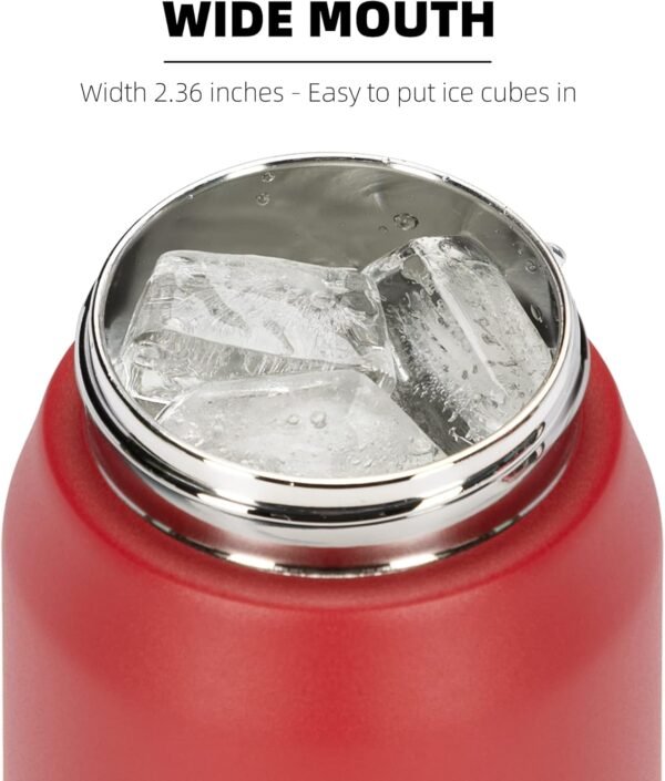 Fanhaw 20 Oz Stainless Steel Insulated Sports Water Bottles with Straw for Kids, Men and Women (Black)