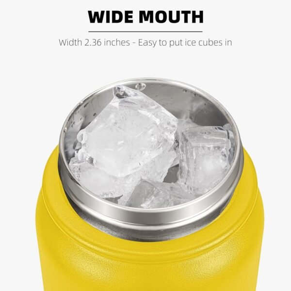 Fanhaw 20 Oz Stainless Steel Insulated Sports Water Bottles with Straw for Kids, Men and Women (Black)