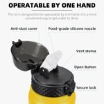 Fanhaw 20 Oz Stainless Steel Insulated Sports Water Bottles with Straw for Kids, Men and Women (Black)