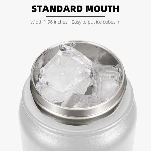 Fanhaw 20 Oz Stainless Steel Insulated Sports Water Bottles with Straw for Kids, Men and Women (Black)