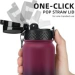 Fanhaw 20 Oz Stainless Steel Insulated Sports Water Bottles with Straw for Kids, Men and Women (Black)