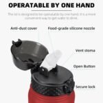 Fanhaw 20 Oz Stainless Steel Insulated Sports Water Bottles with Straw for Kids, Men and Women (Black)