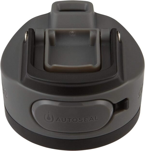 Contigo AUTOSEAL Cortland 24oz Water Bottle BPA-Free Plastic Spill Leak-Proof Lid and Carry Handle Dishwasher Safe Spirulina