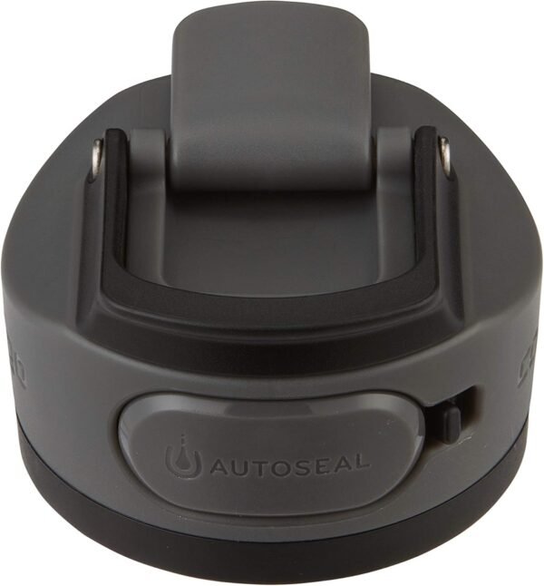 Contigo AUTOSEAL Cortland 24oz Water Bottle BPA-Free Plastic Spill Leak-Proof Lid and Carry Handle Dishwasher Safe Spirulina