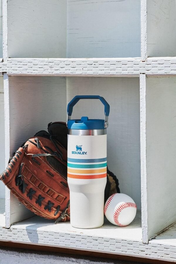 Stanley IceFlow Flip Straw Tumbler with Handle 30 oz | Twist On Lid and Flip Up Straw | Leak Resistant Water Bottle | Insulated Stainless Steel |BPA-Free | Rose Quartz