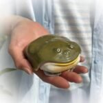 Handgefertigte Schutzhülle mit Froschmotiv für kabellose AirPods 4/Pro 3, witziges Kröten-Design, kreative Tiermotive, weicher, kratzfester Schutz, einzigartiges Geschenk